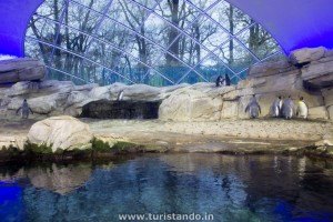 Conhecendo o Zoo de Berlim