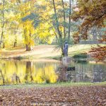 Berlim: Conhecendo vários pontos principais em 1 dia