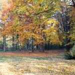 Tiergarten em Berlim