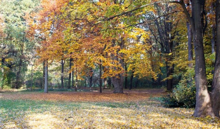 Tiergarten em Berlim