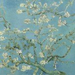 O Museu Van Gogh em Amsterdam