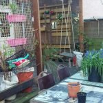 Bebel no hostel Ani&Haakien de Roterdam