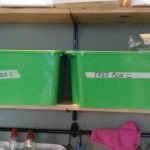 Bebel no hostel Ani&Haakien de Roterdam