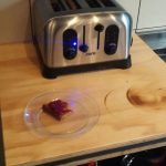 Bebel no hostel Ani&Haakien de Roterdam