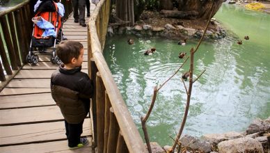 O Zoológico de Buin (Buin Zoo), perto de Santiago do Chile