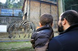 Zoológico de Santiago