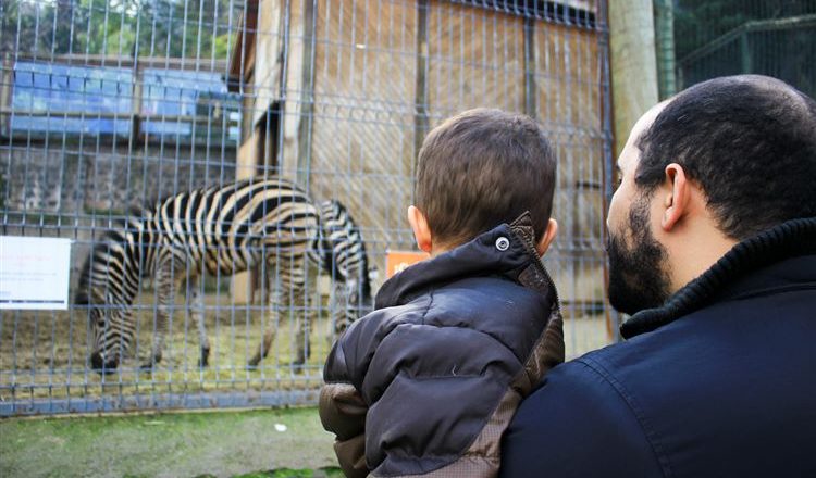 Zoológico de Santiago