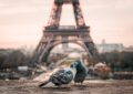 36 atrações imperdíveis em Paris